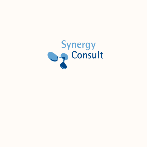 Synergy Consult Unternehmen